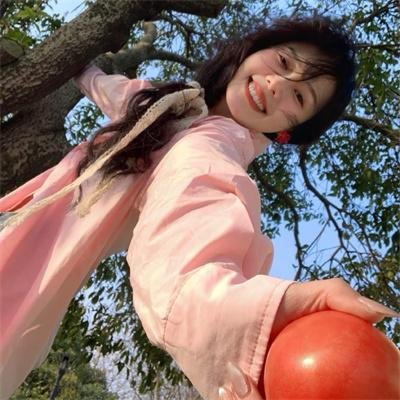 高卢英雄：魔法的秘密